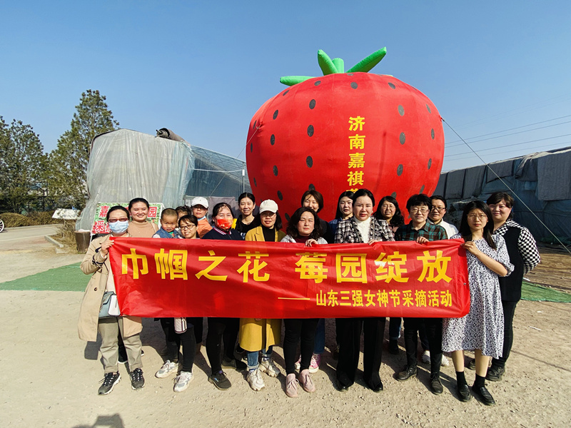 巾幗之花，莓園綻放 ——山東三強(qiáng)組織“三八”節(jié)踏青采摘活動(dòng)